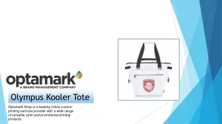 olympus kooler tote