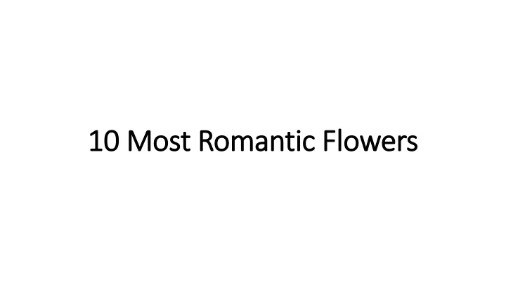 10 most romantic 10 most romantic flowers