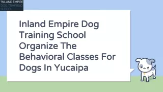 Organize The Behavioral Classes For Dogs In Yucaipa