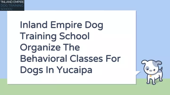 inland empire dog training school organize the behavioral classes for dogs in yucaipa
