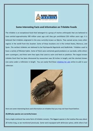some interesting facts and information