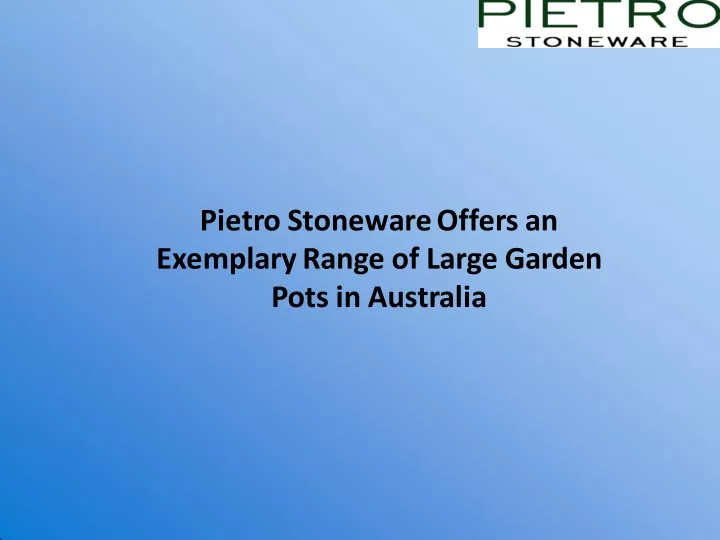 pietro stoneware offers an exemplary range
