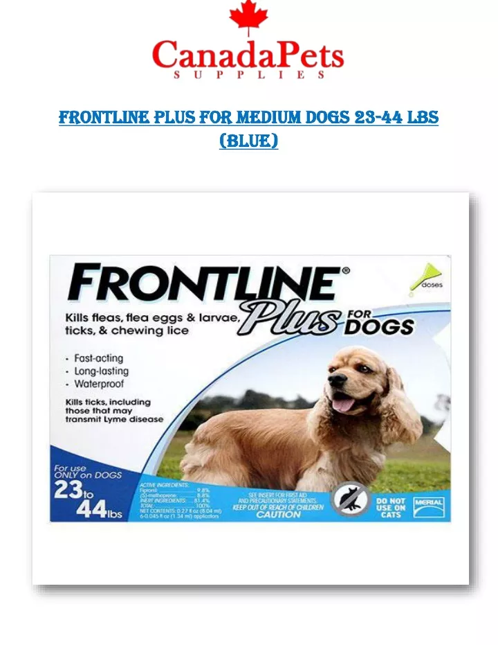 frontline plus for frontline plus for medium