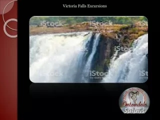 Victoria Falls Excursions