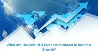 What Are The Role Of A Business Incubator In Business Growth
