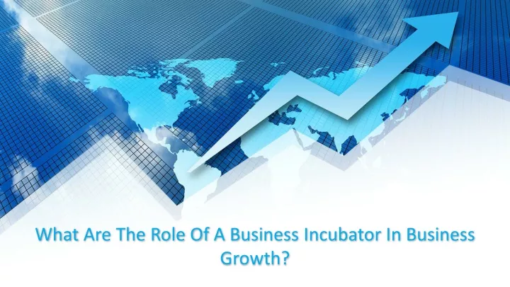 what are the role of a business incubator in business growth