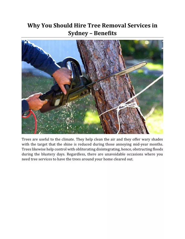 why you should hire tree removal services