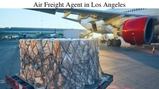 Air Freight Agent in Los Angeles