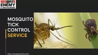 Mosquito Tick Control Service