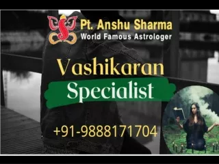 Best World Famous Astrologer |  Astrologer Anshu Sharma | Call  91-9888171704
