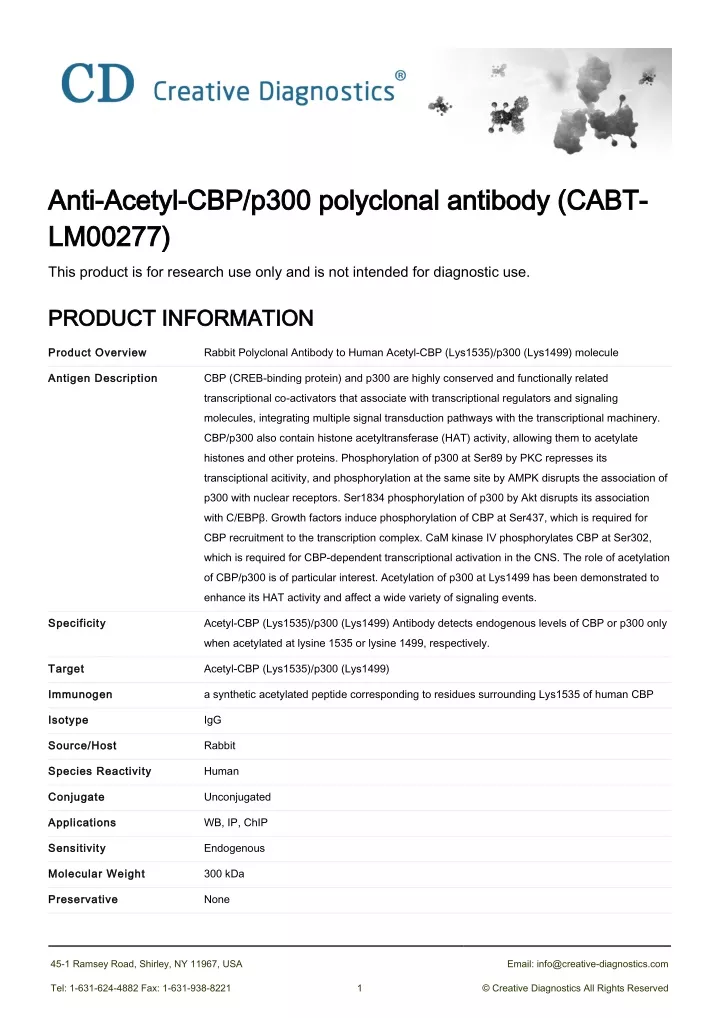anti acetyl cbp p300 polyclonal antibody cabt