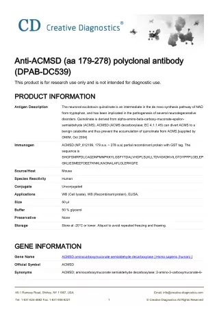 acmsd antibody