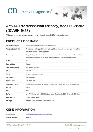 actn2 antibody