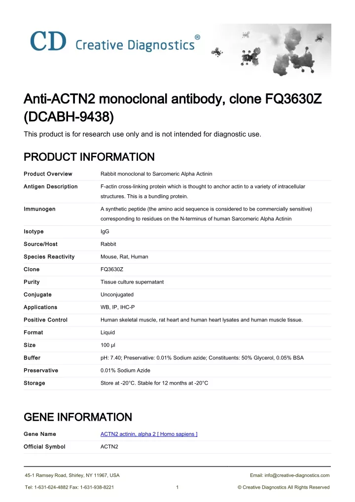 anti actn2 monoclonal antibody clone fq3630z anti