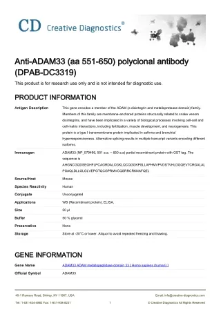 adam33 antibody