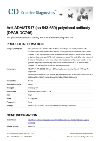 adamts17 antibody