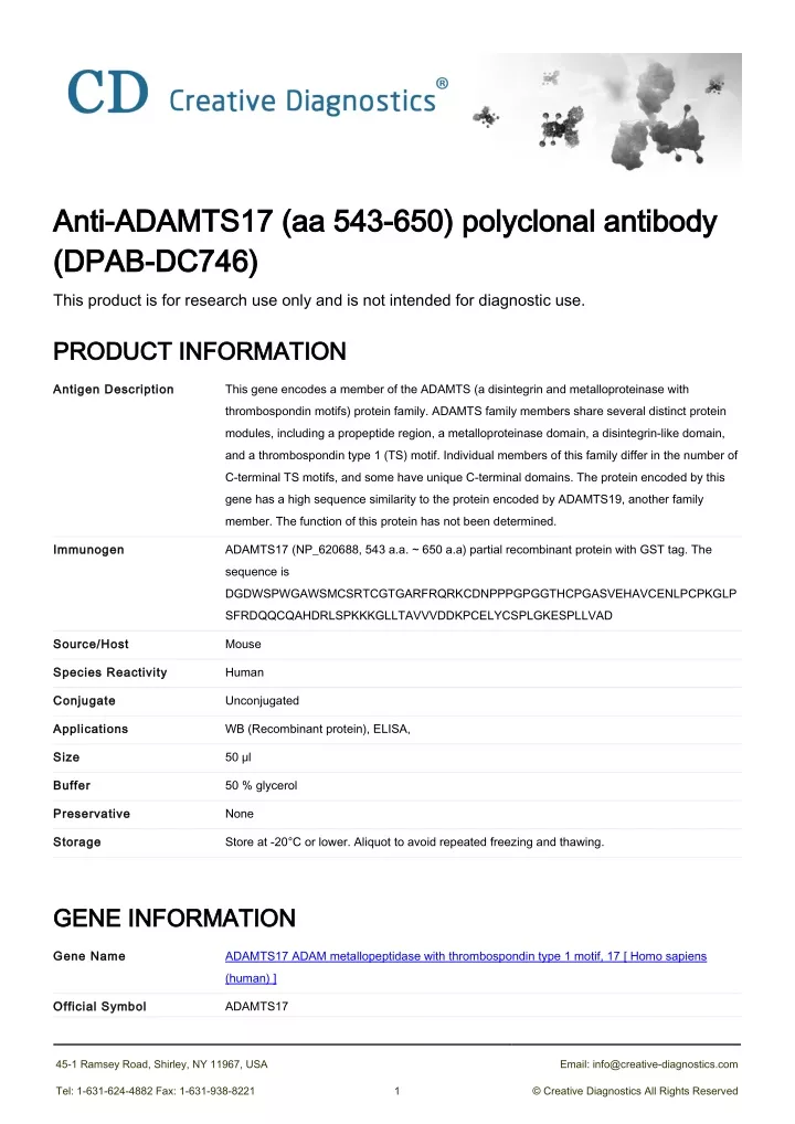 anti adamts17 aa 543 650 polyclonal antibody anti