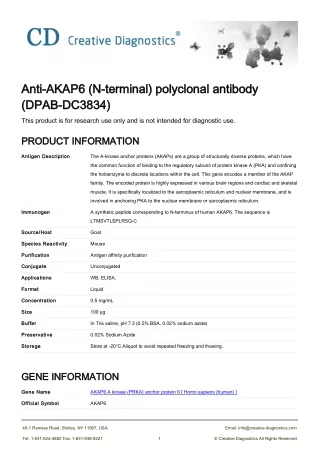 akap6 antibody
