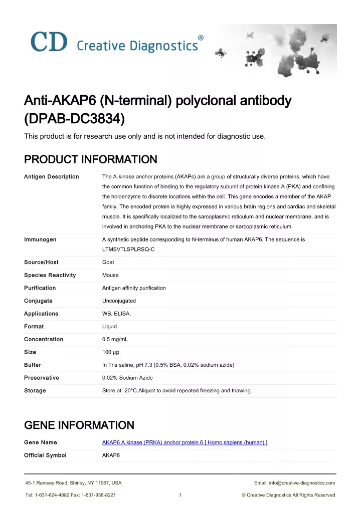 anti akap6 n terminal polyclonal antibody anti