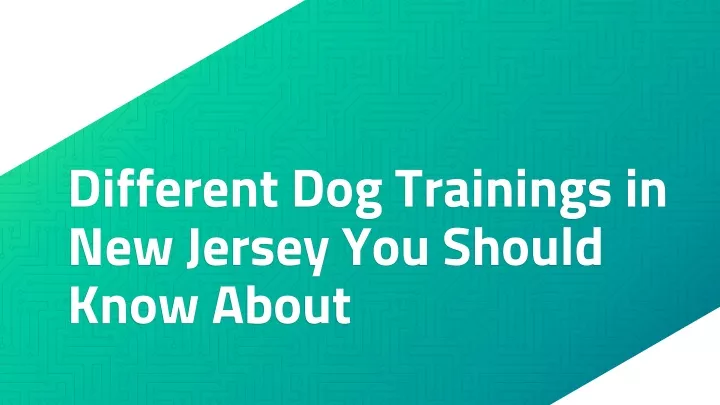 different dog trainings in new jersey you should