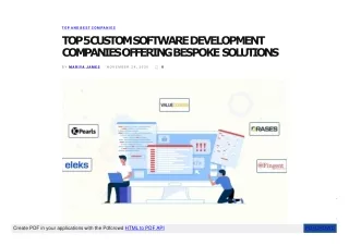 top 5 custom software development companies offering bespoke solutions