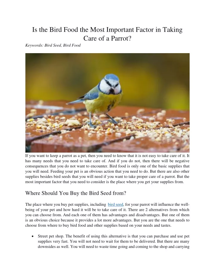 is the bird food the most important factor