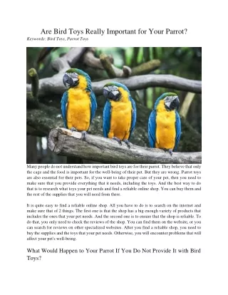 are bird toys really important for your parrot