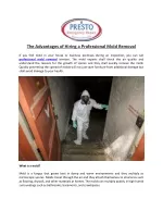 The Advantages of Hiring a Professional Mold Removal