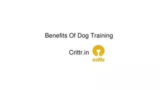 Benefits Of Dog Training Crittr