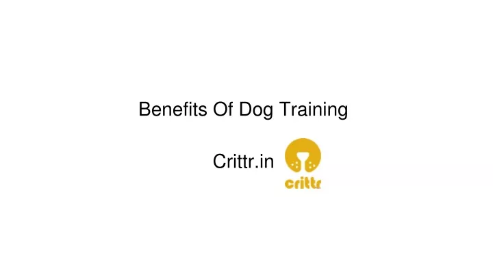 benefits of dog training