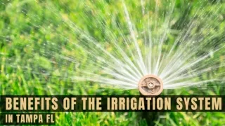 Benefits of the Irrigation Installation System in Tampa FL