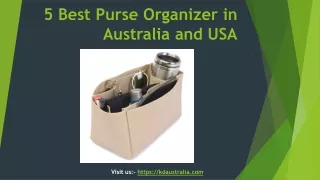 5 Best Purse Organizer in Australia and USA