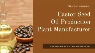 Castor Oil Manufacturing Plant Manufacturer