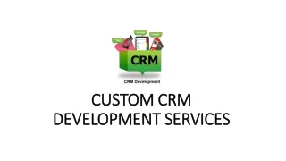 custom crm development services