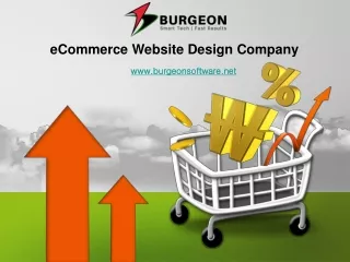 eCommerce Website Design - Experienced eCommerce Designers