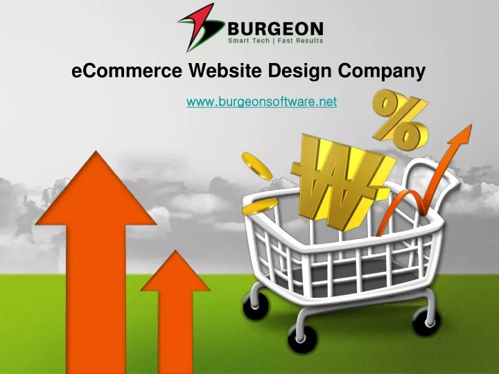 ecommerce website design company