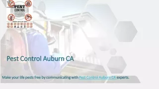 presentation title pest control auburn ca pest