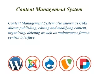 Content Management System for Business Websites | Burgeon Software Pvt. Ltd.