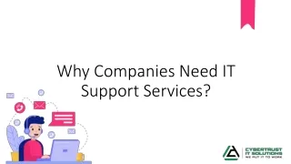 why companies need it support services