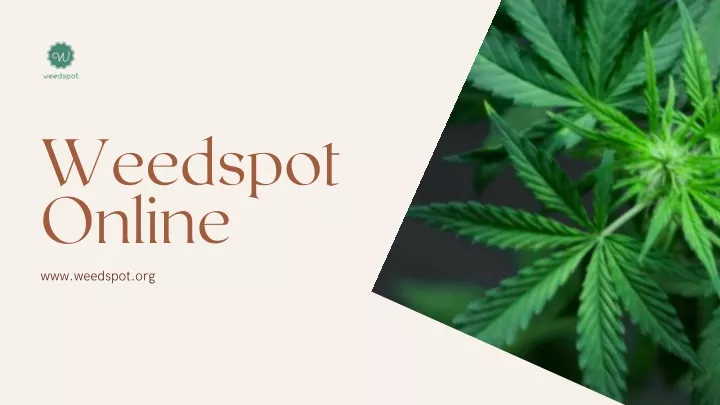 weedspot online