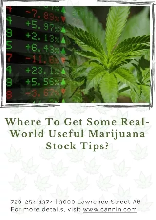 Where To Get Some Real-World Useful Marijuana Stock Tips?