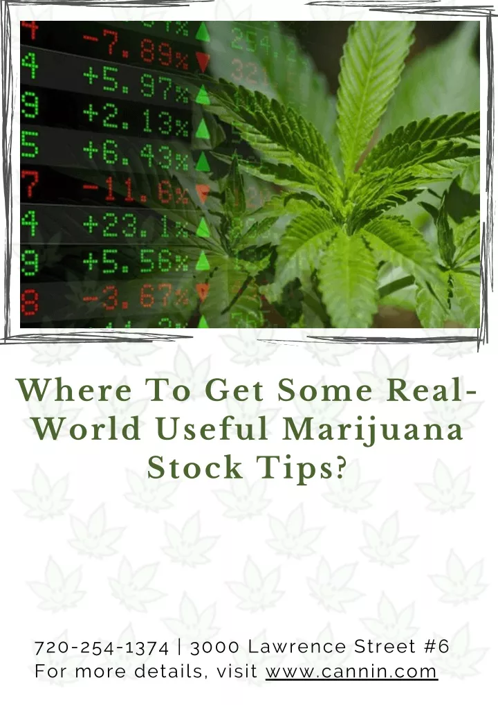 where to get some real world useful marijuana