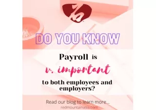 3 Reasons Why Payroll is Important for Your Company | RedMountain Asia