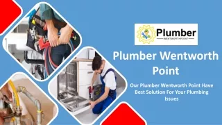 Our Plumber Wentworth Point Have Best Solution For Your Plumbing Issues