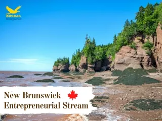 new brunswick entrepreneurial stream