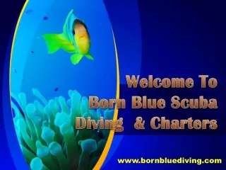 Born Blue Scuba Diving & Charters