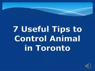 7 Useful Tips to Control Animal in Toronto