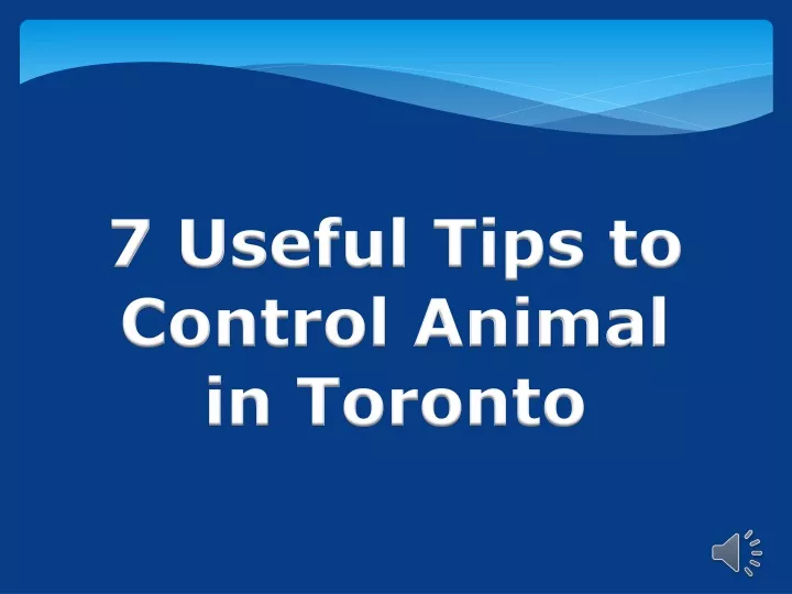 7 useful tips to control animal in toronto