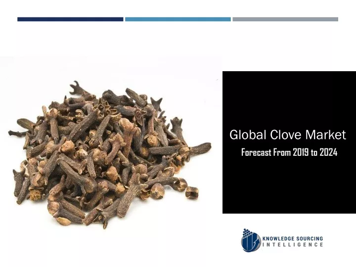 global clove market forecast from 2019 to 2024