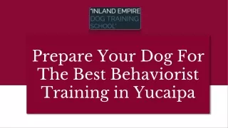 Prepare Your Dog For The Best Behaviorist Training in Yucaipa